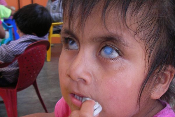 Proyecto El Milagro Perú