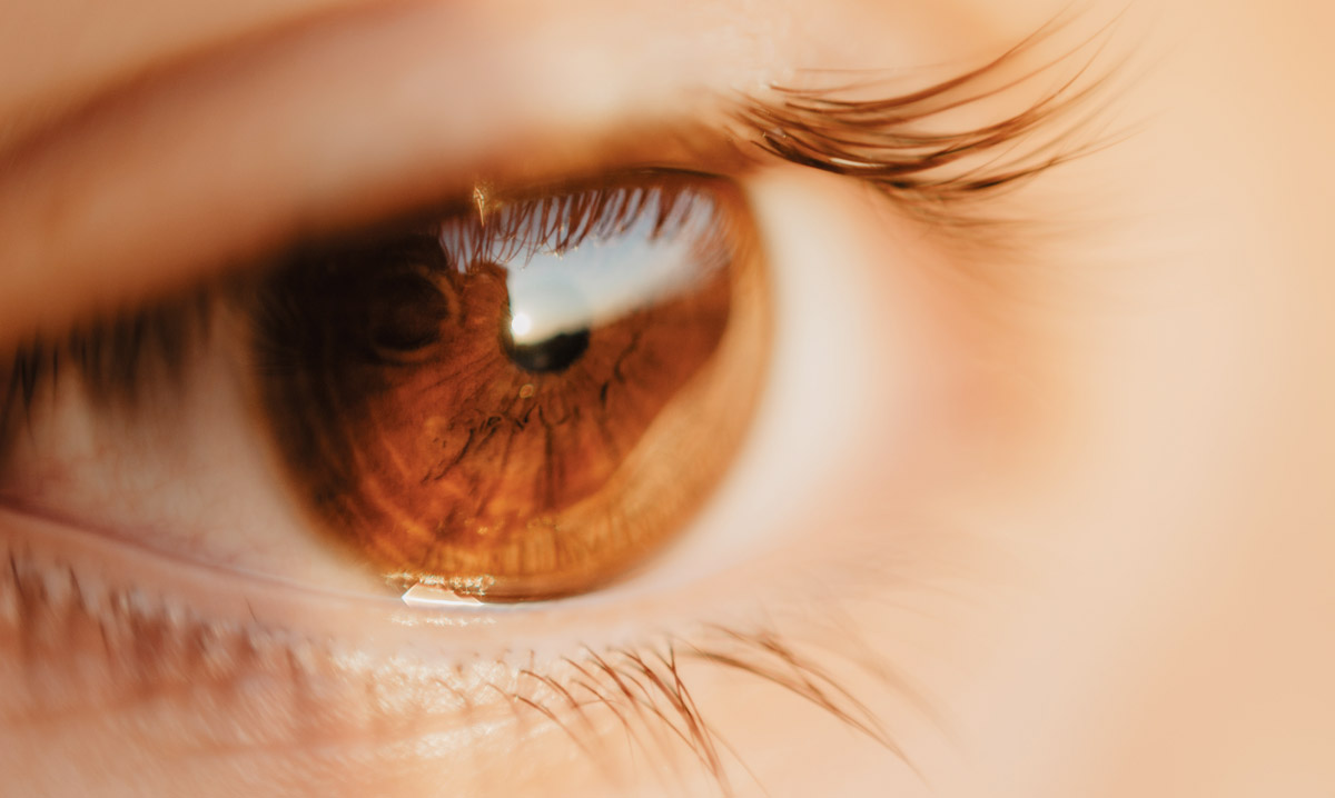 órbita ocular tratamiento palma