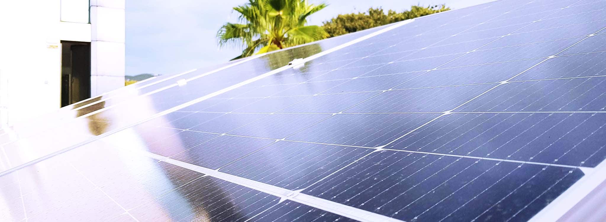 Empresa sostenible: Oftalmedic Salvà se suma a la lucha por el medioambiente