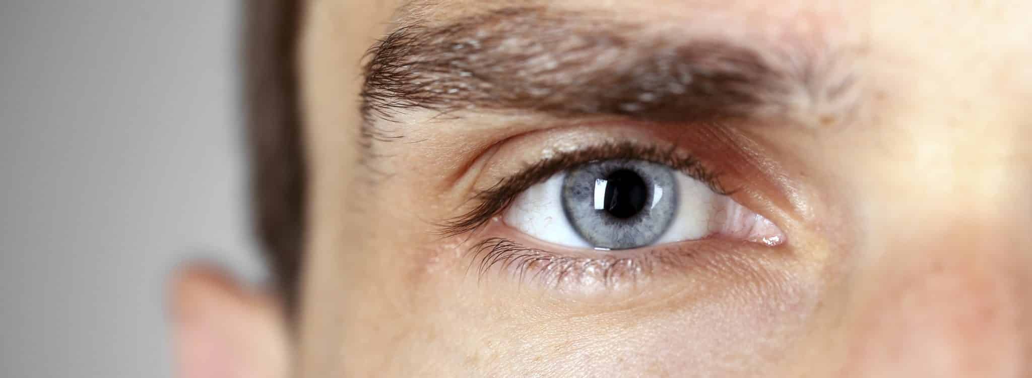 estudio glaucoma