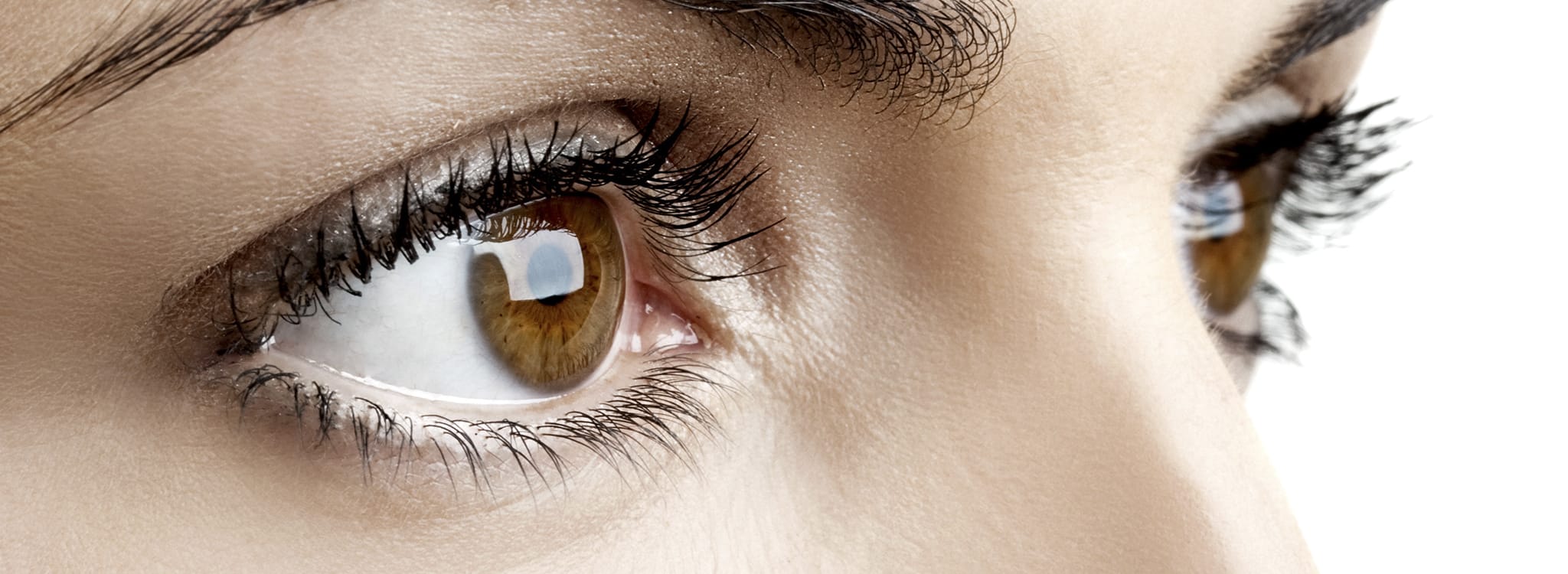 degeneración macular